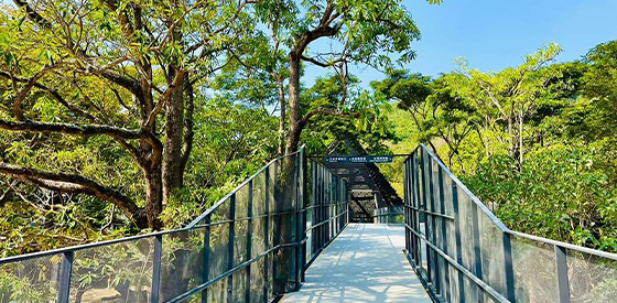 漫步動物園空中長廊 感受擴張網通透之美