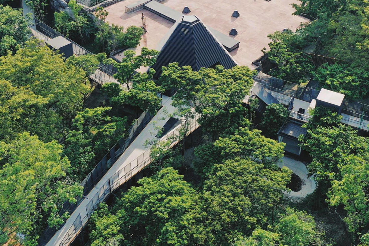 漫步動物園空中長廊 感受擴張網通透之美