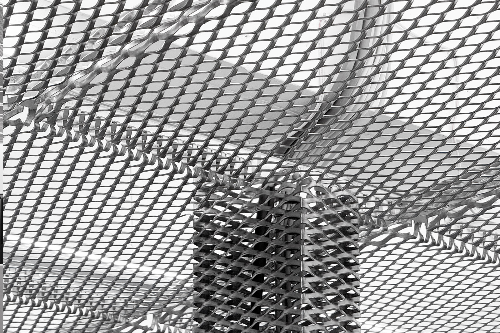 萊茲特資訊科技室內裝修