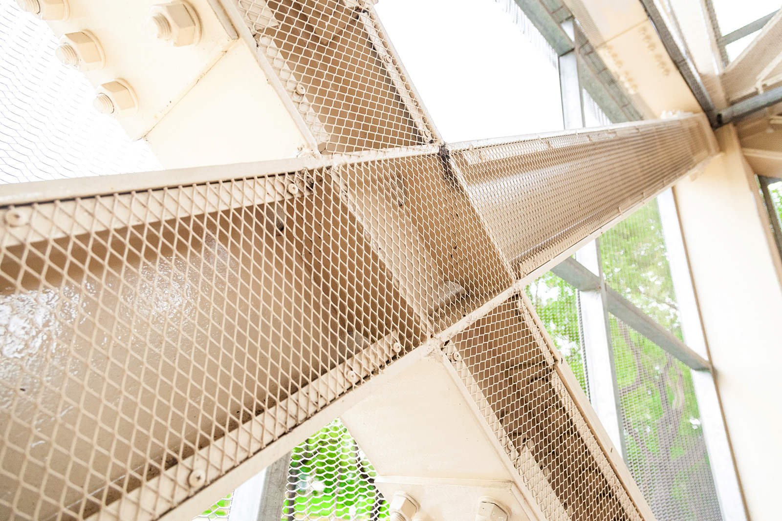 屏科大圖書館｜外牆過渡空間、節能通透與防鳥設計