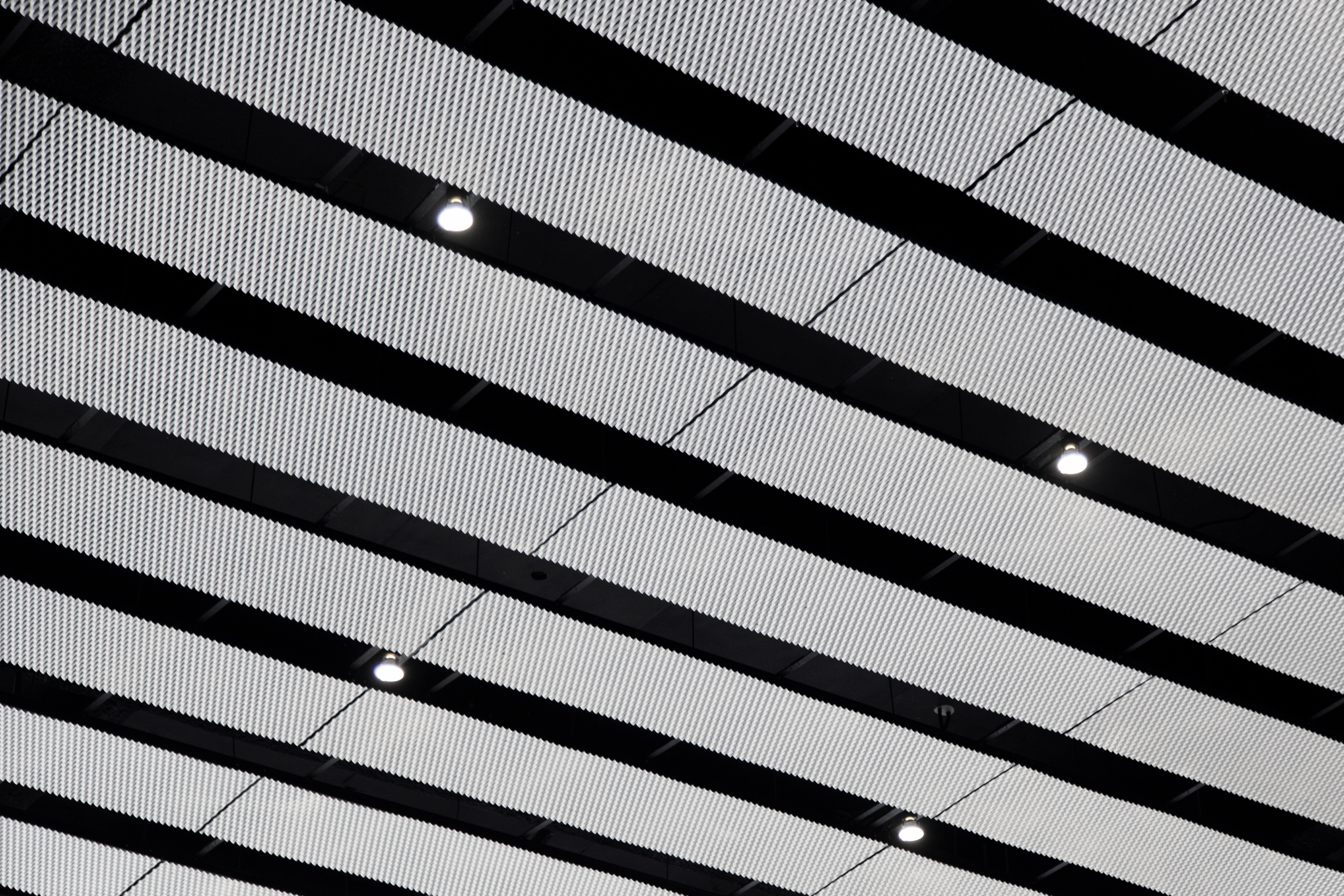 台中綠美圖 擴張網天花板