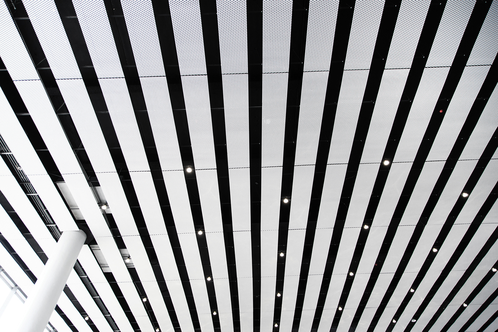 台中綠美圖 擴張網天花板