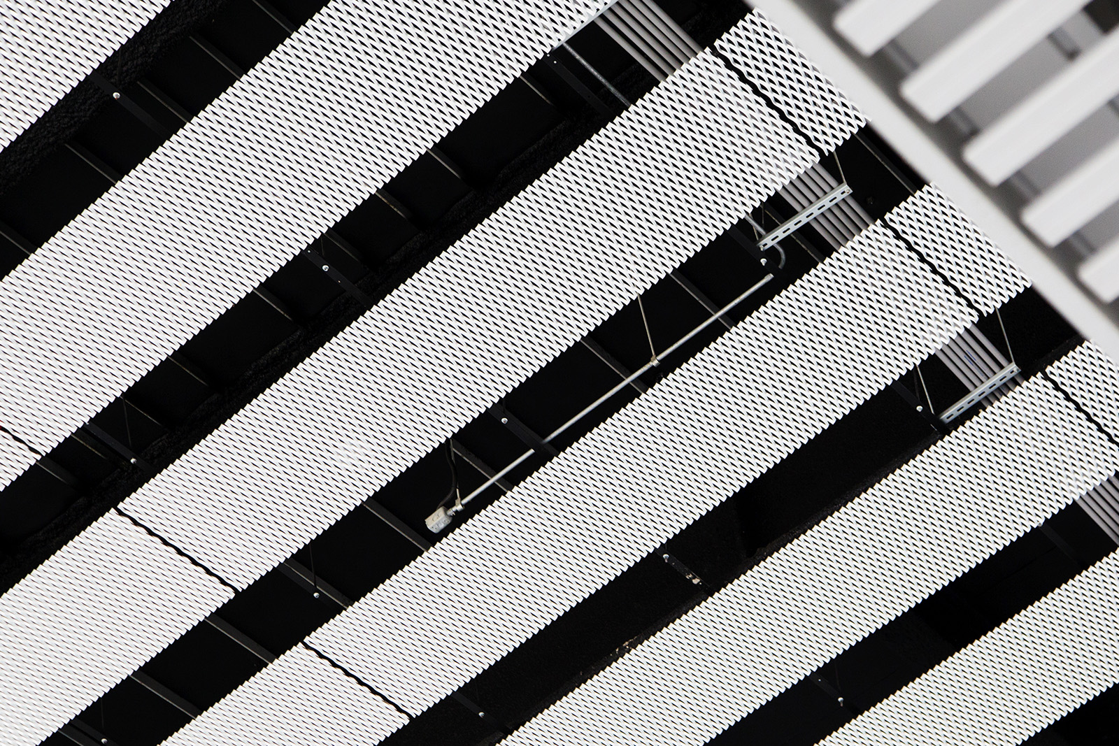 台中綠美圖 擴張網天花板