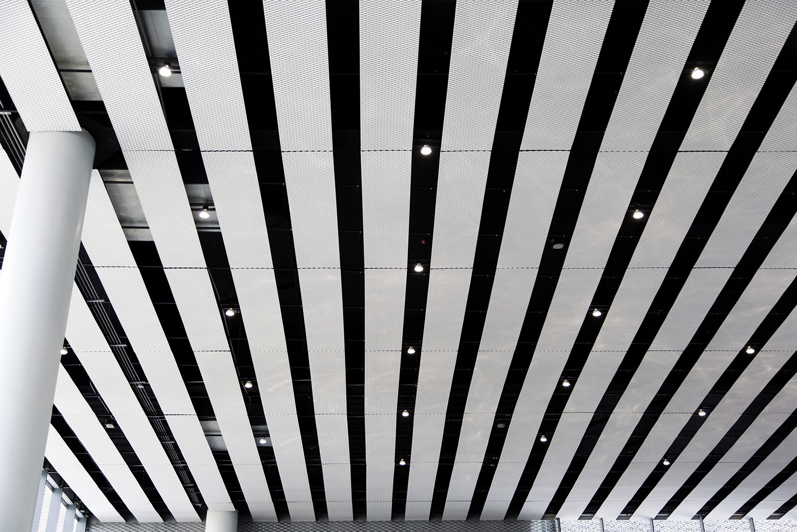 台中綠美圖 擴張網天花板