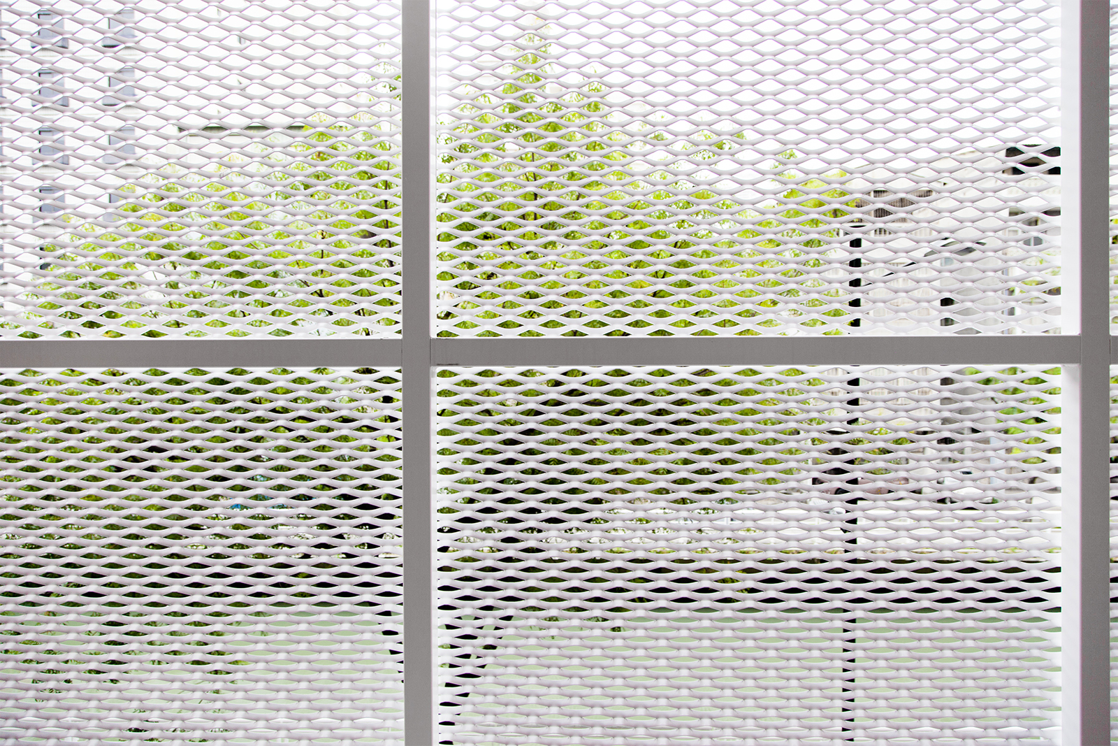 聖光神學院-金屬網外牆